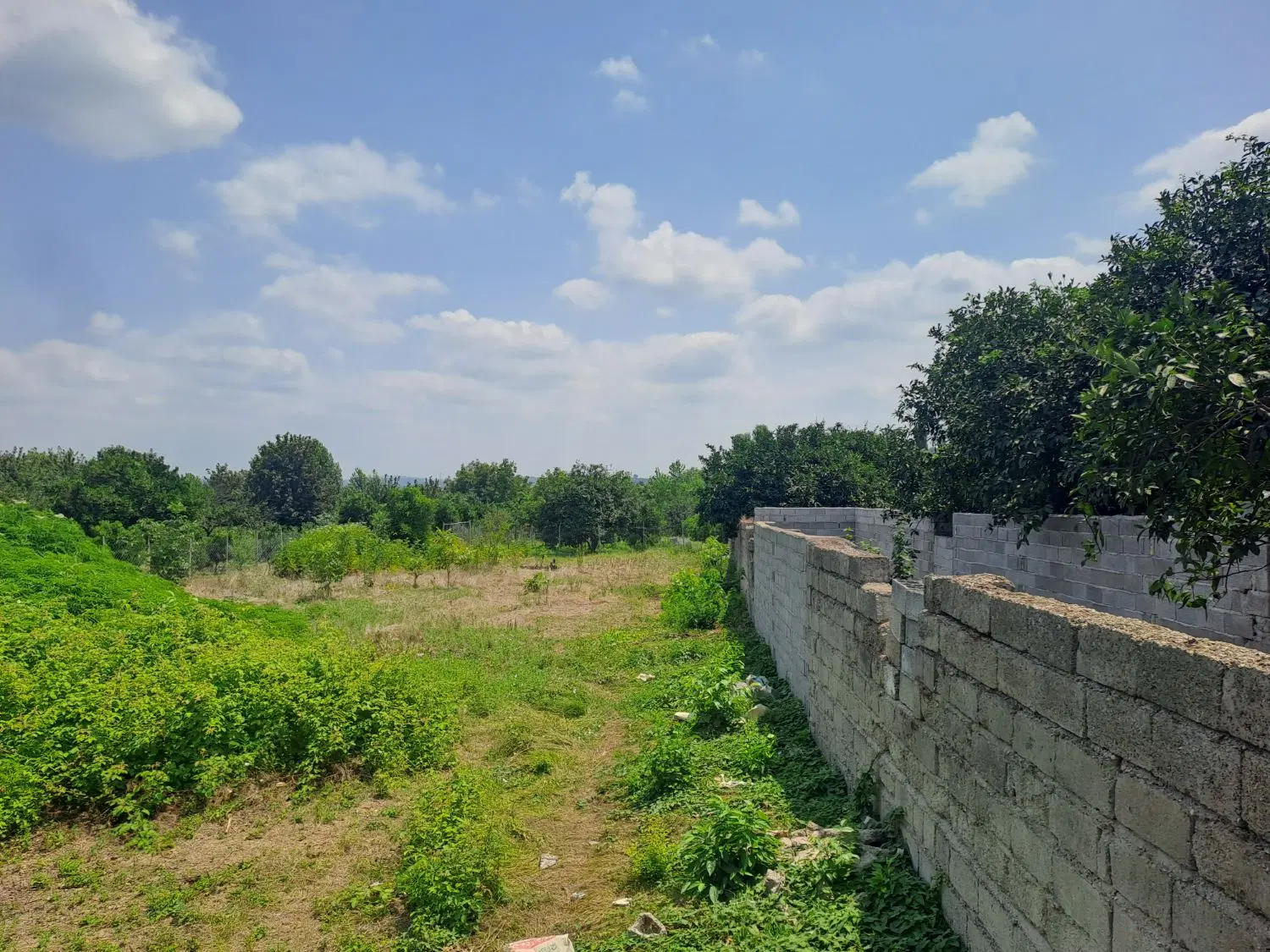فروش زمین باغی(قابل تغییر کاربری)