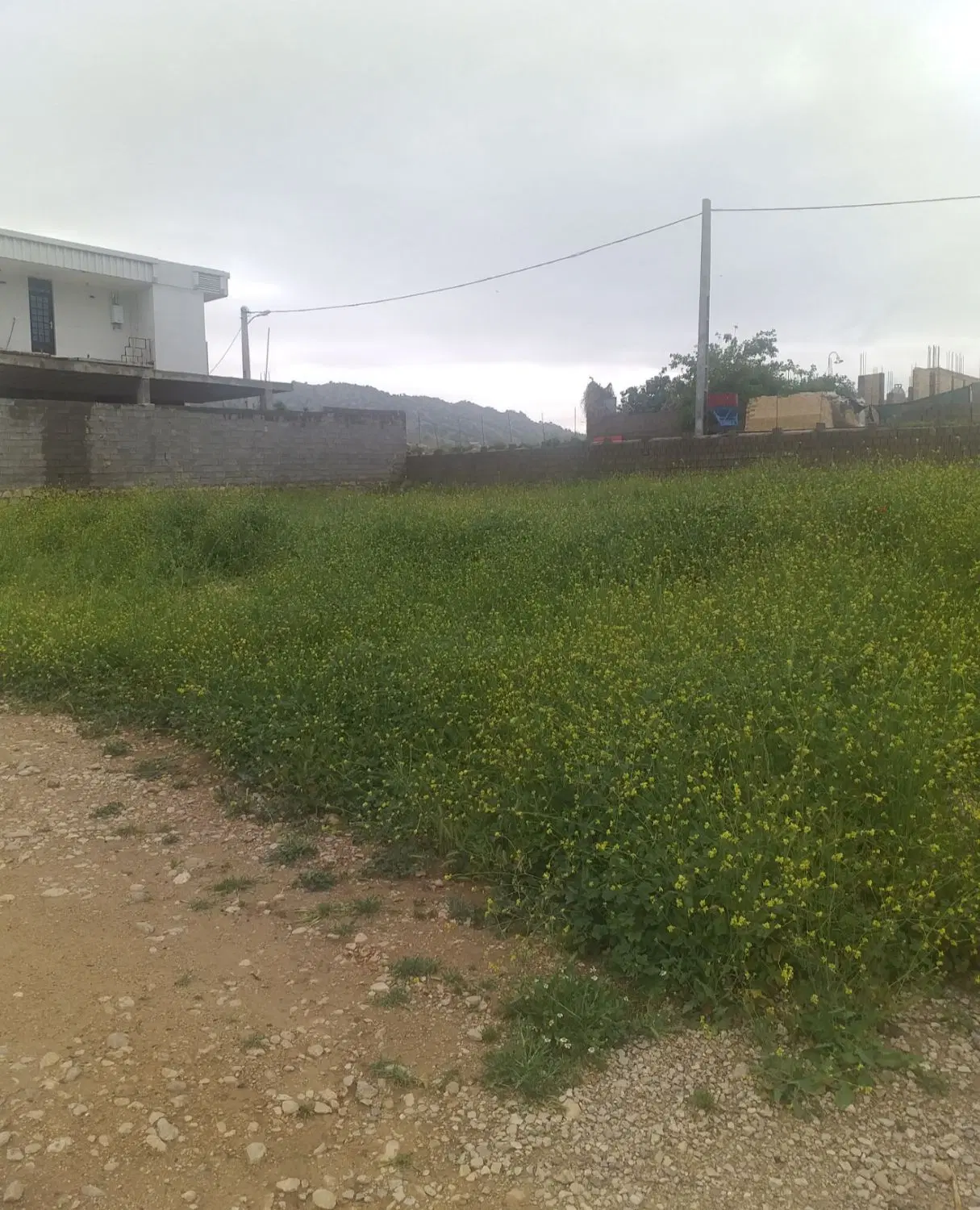 زمین مسکونی در روستای باغملا