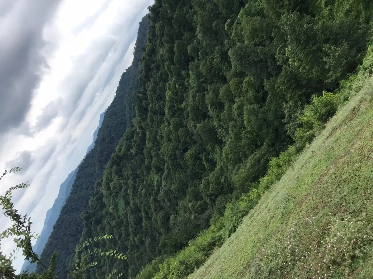 زمین ۹۶ متری اخر ملاباشی