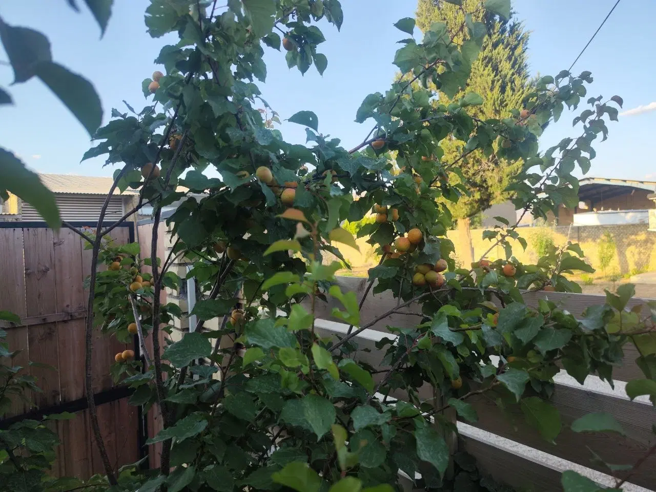 کارخانه، سوله