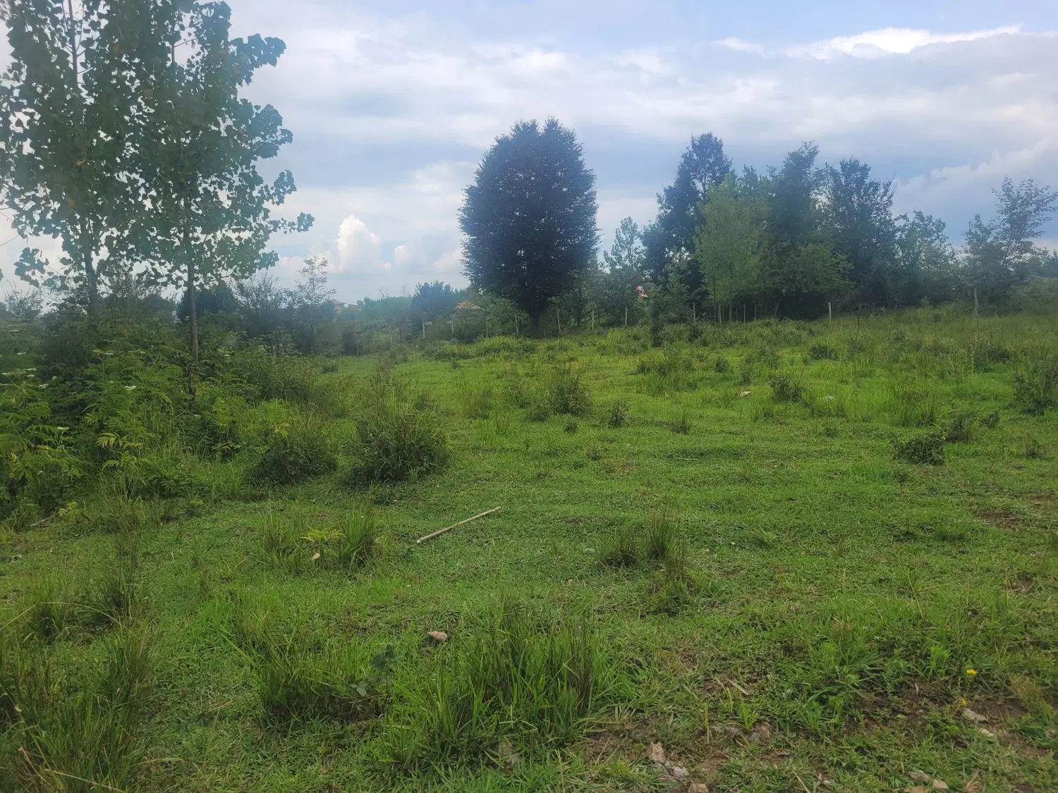 زمین با کاربری مسکونی