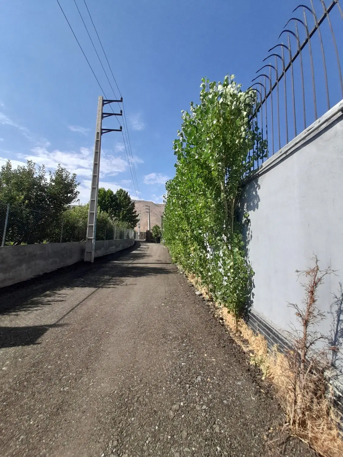 باغچه ۳۵۰متری باغستان سند تک برگ آب برق.