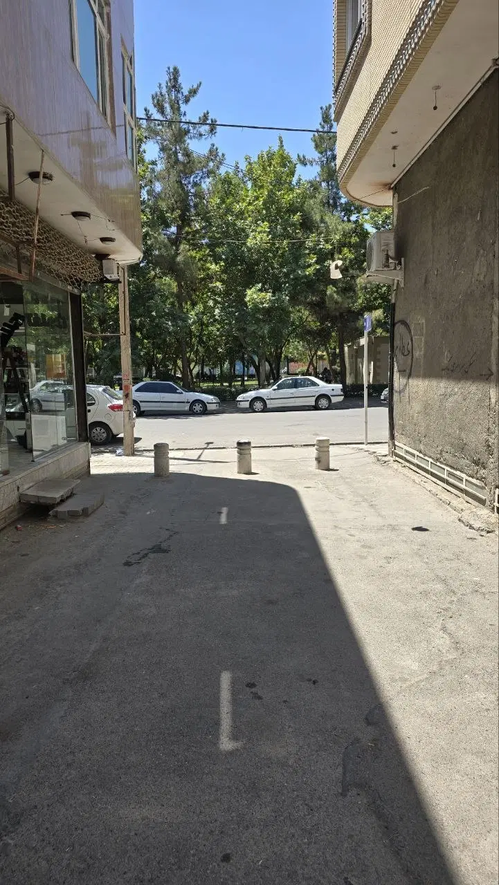 مغازه تجاری ، سیدرضی