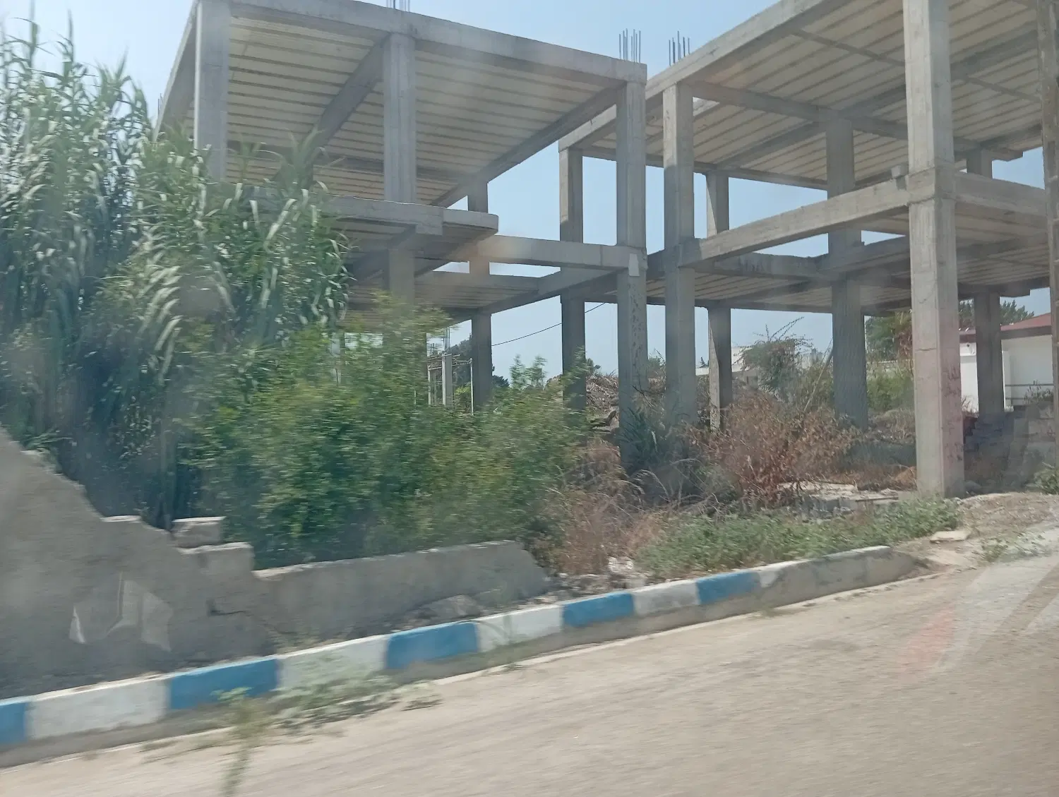 پیش فروش در شکوفه