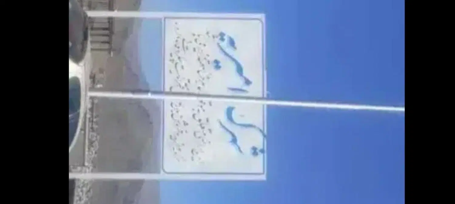 فروش زمین تجاری شهرک صنعتی امیریه ننله