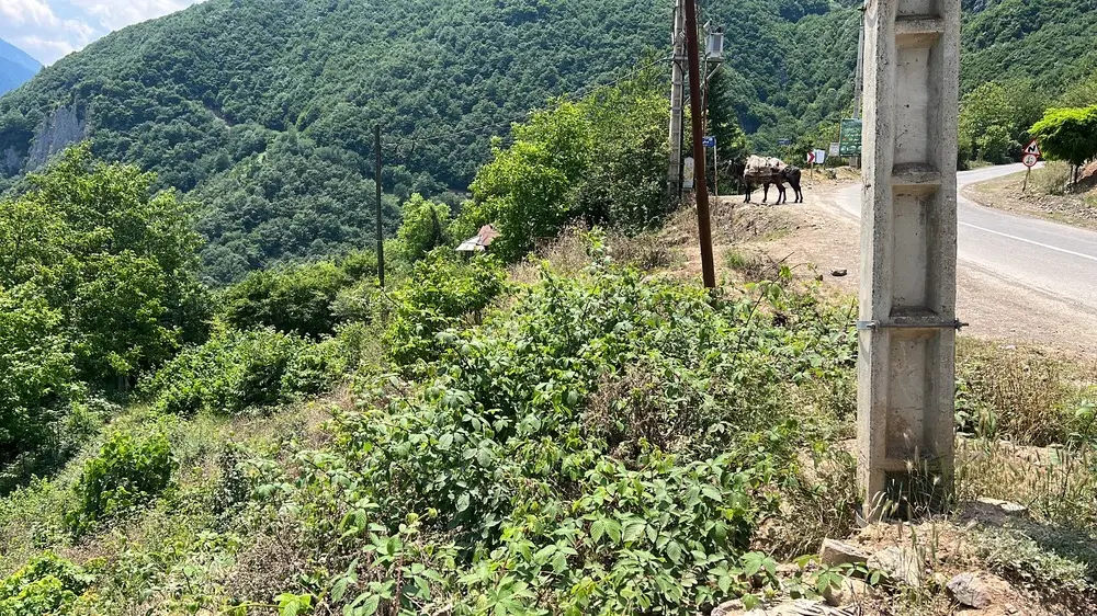 ۳۰۰متر زمین با کاربری تجاری مسکونی بر جاده دوهزار
