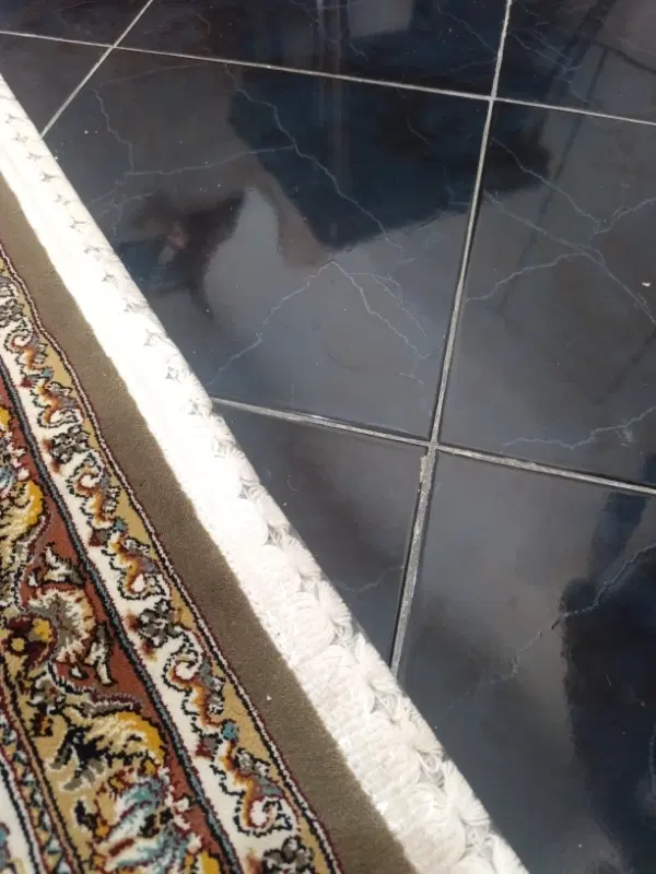 اجاره و رهن خانه کوی مدرس