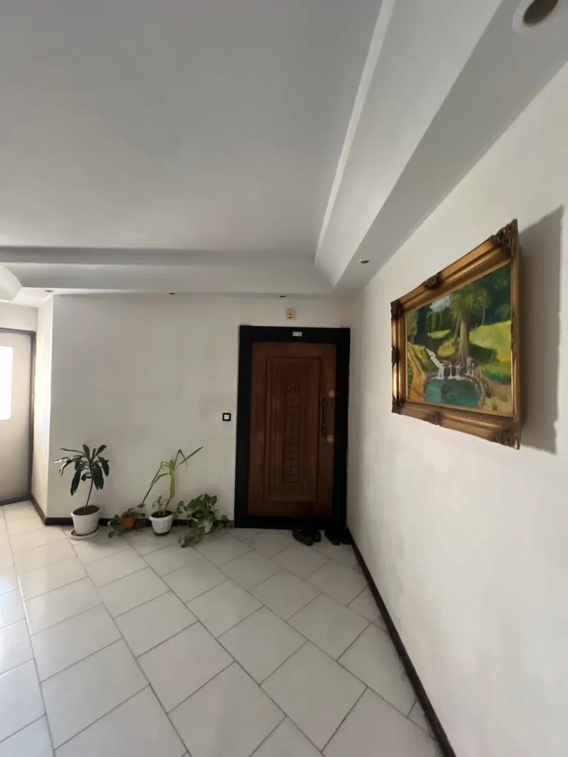 خوش‌نقشه و دلباز در کوهک با سند تک برگ