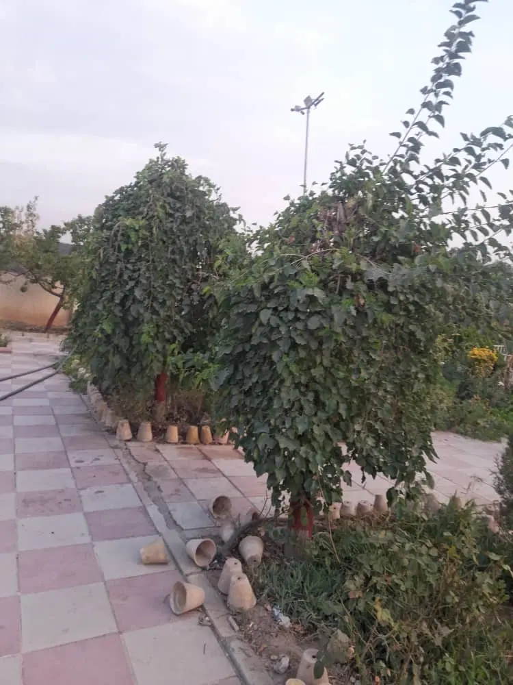 فروش ۲۰۰۰متر باغ ویلا