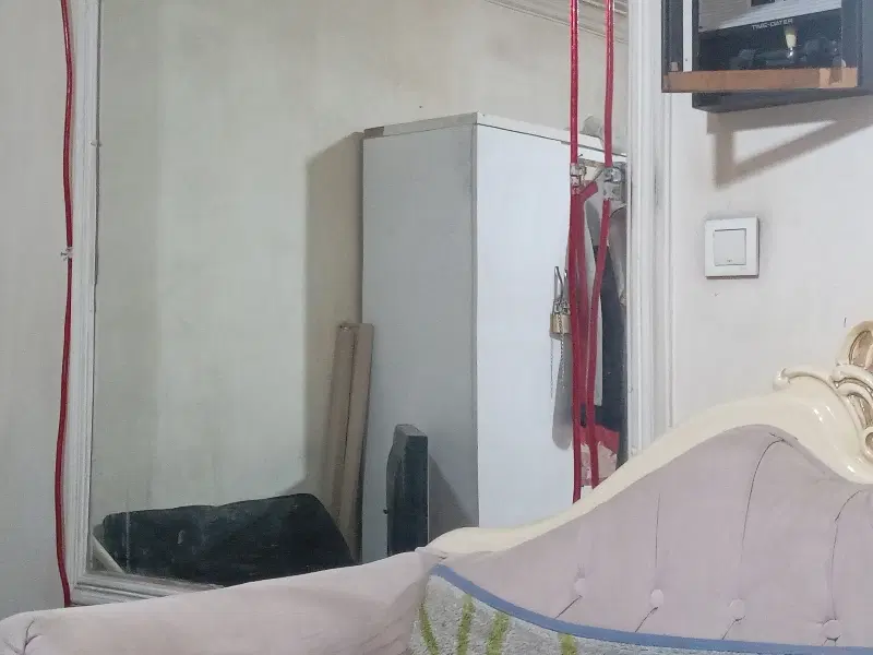 همخونه خانم