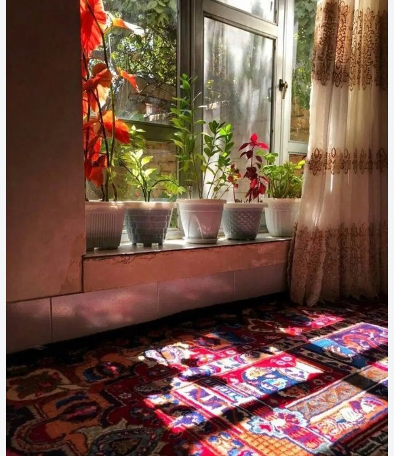 ملک ۱۲۰متری درحال بازسازی