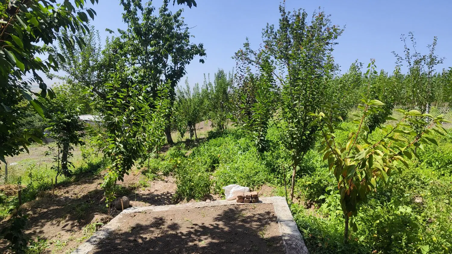 فروش باع 500متری در روستای مزرعه خلف