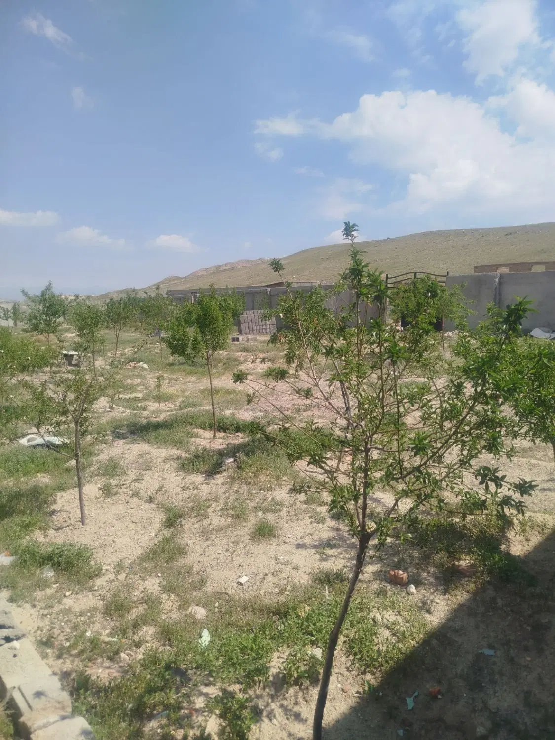 فروش زمین 250 متری در آخماقیه
