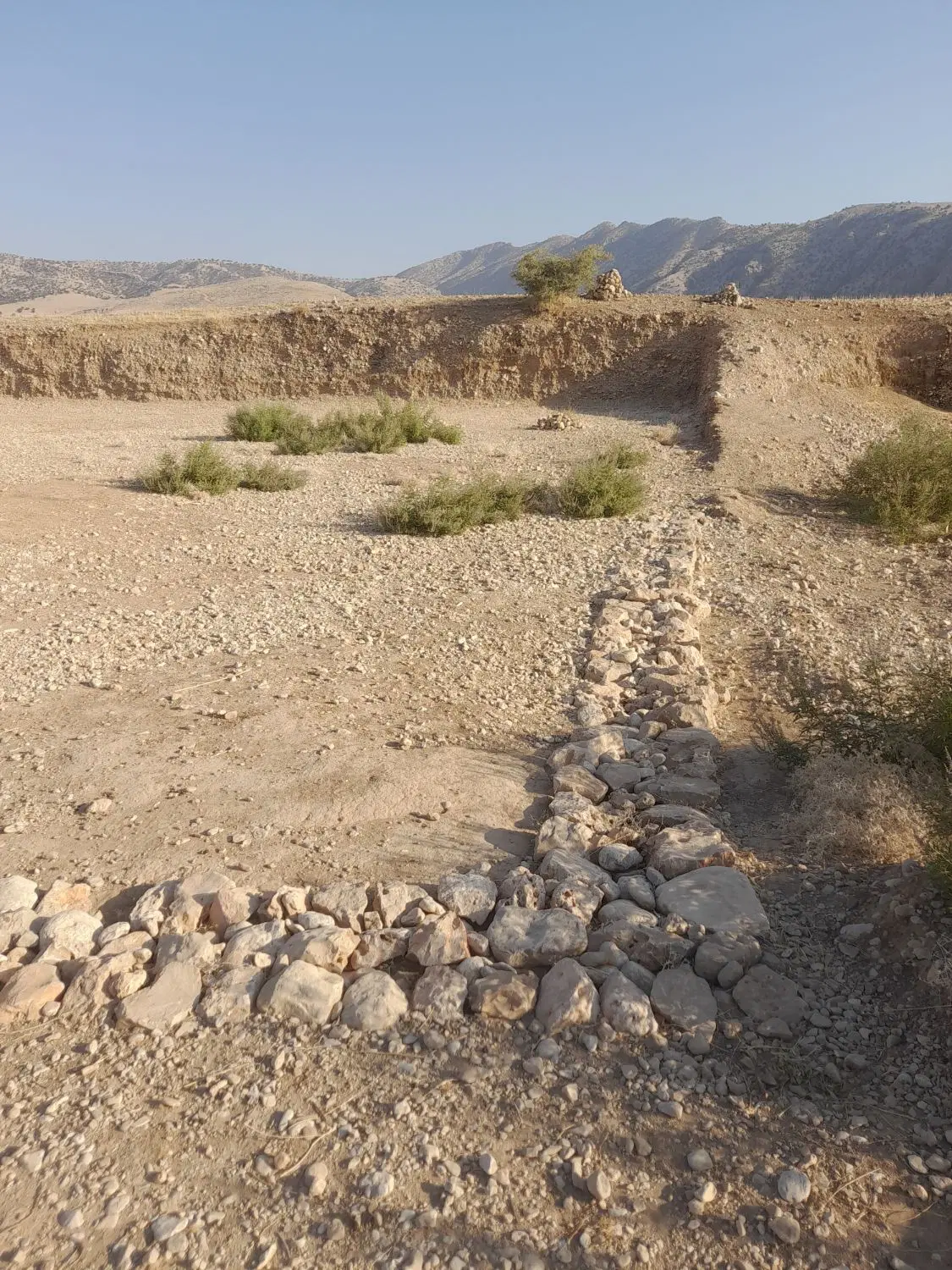 زمین باغی چهارتنگ پشت باغ ویلا بابا جانی