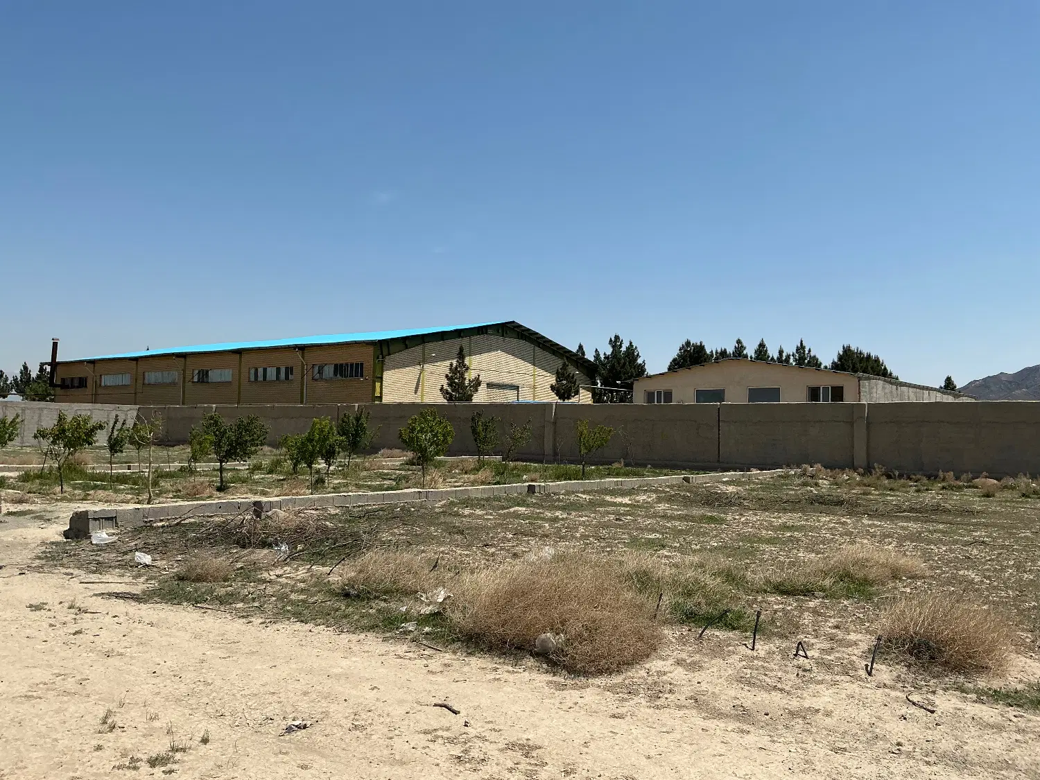 * فروش زمین کشاورزی *