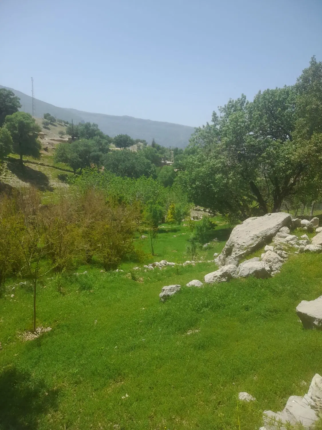 خانه اجاره ای
