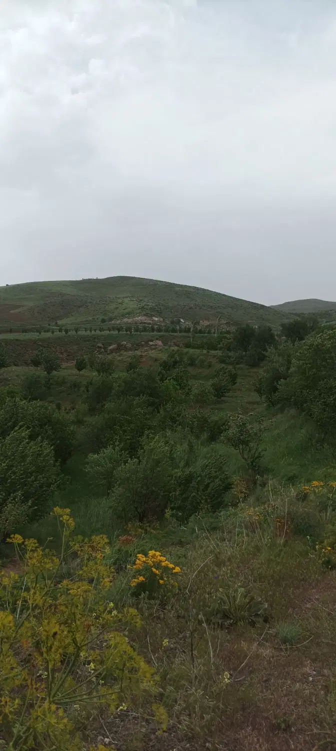 باغ کشاورزی