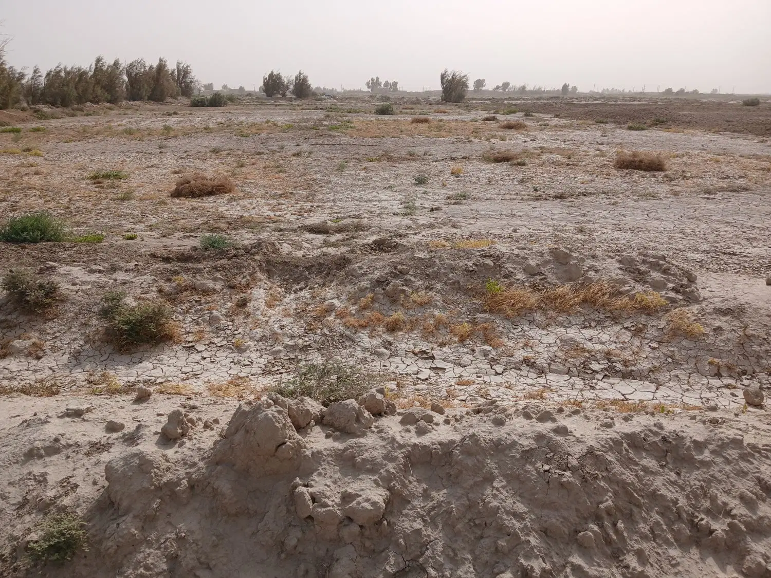 زمین کشاورزی