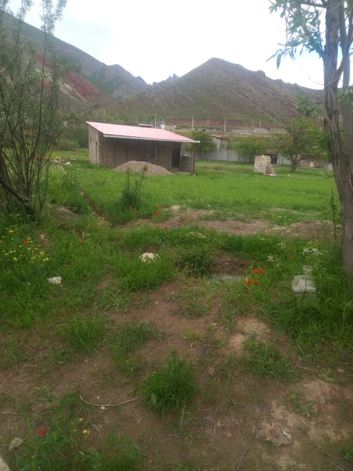 باغ ویلایی