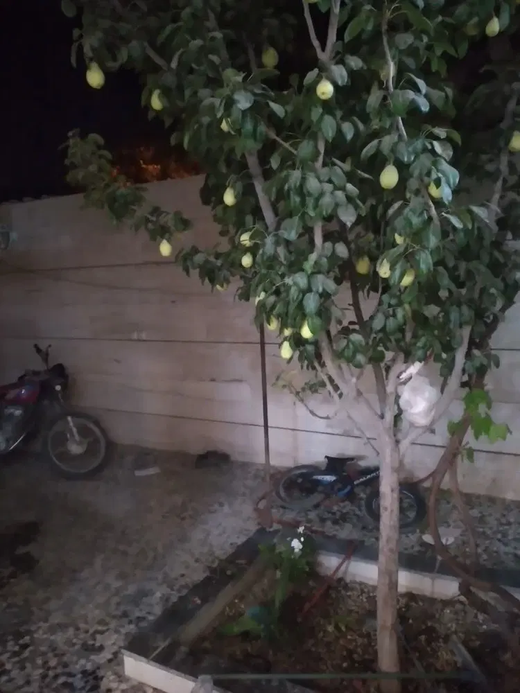 آپارتمان دوخوابه همکف درب مجزا