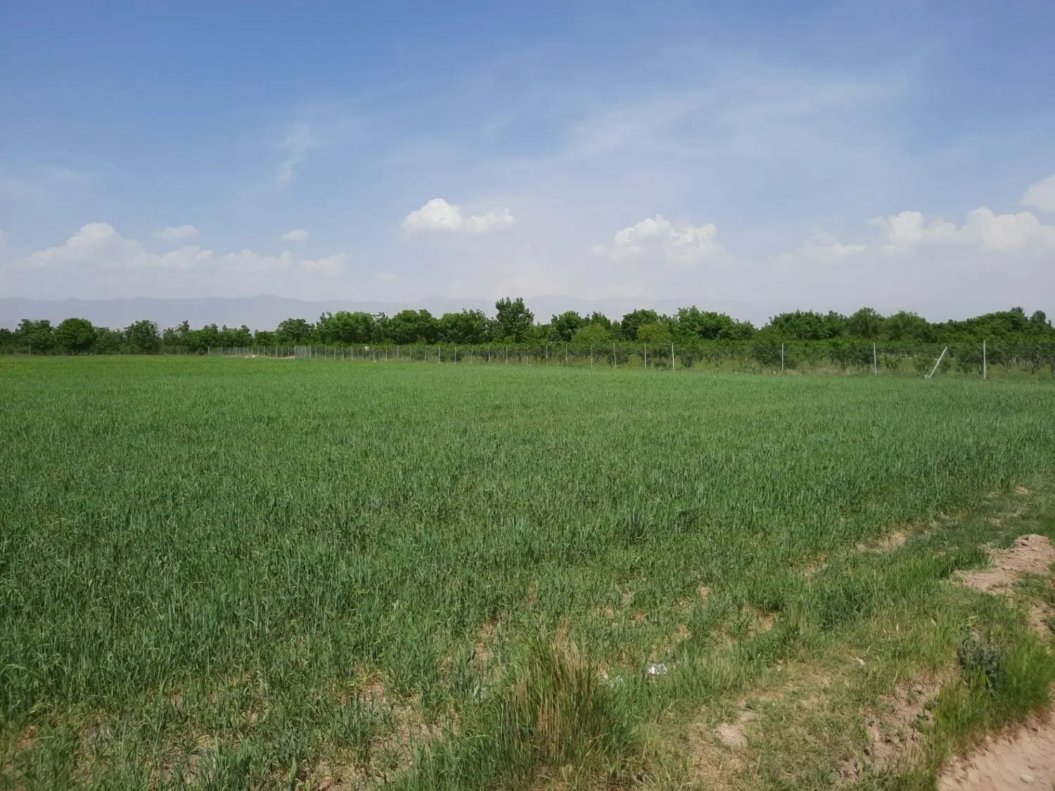زمین ۴ دیواری