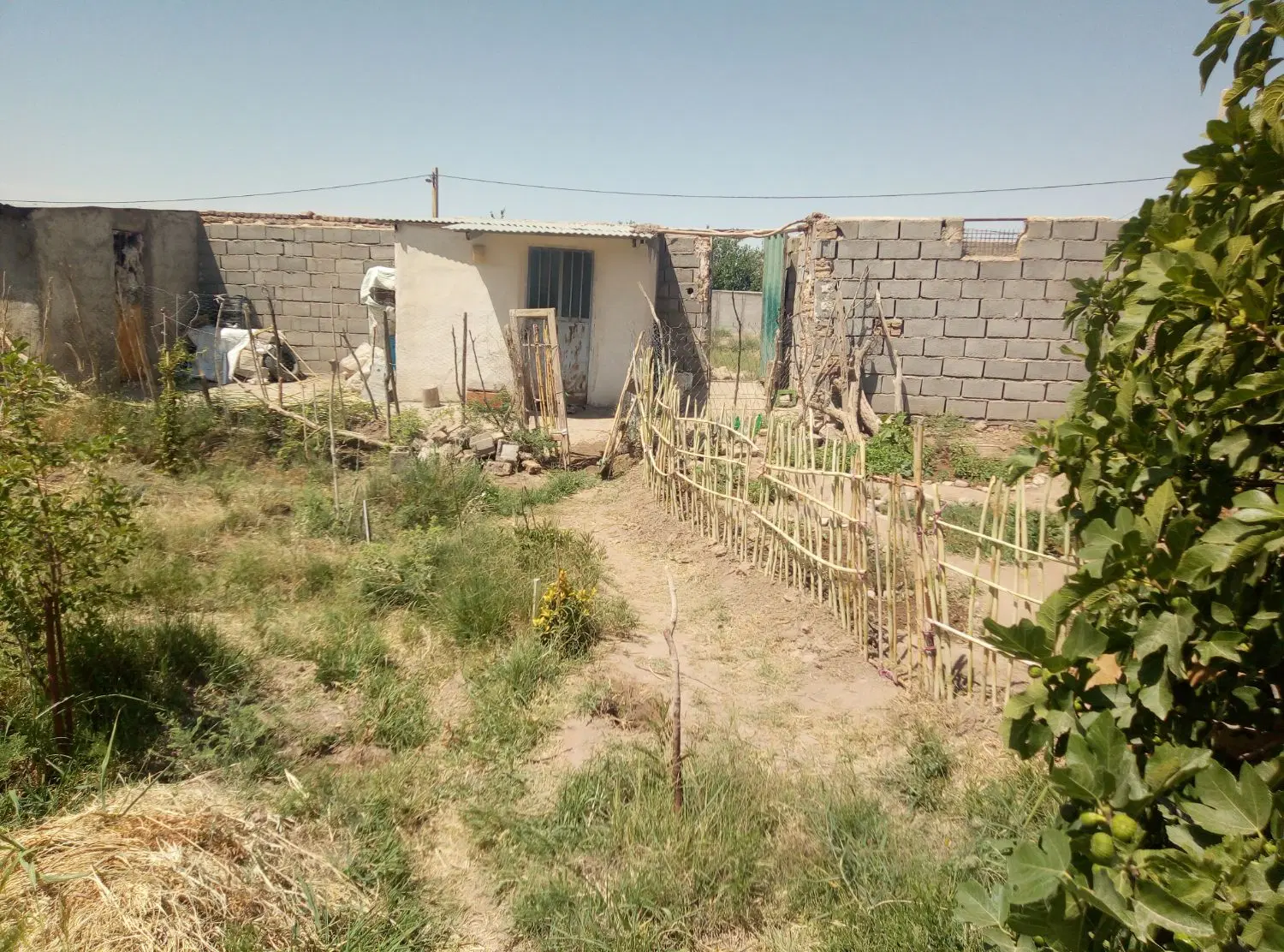 خونه باغ دامداری