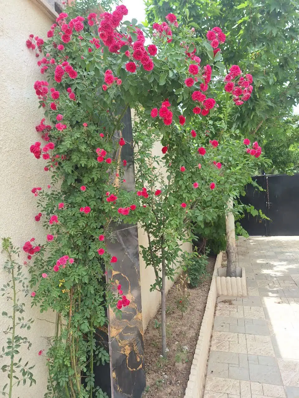 ویلا در چهارباغ