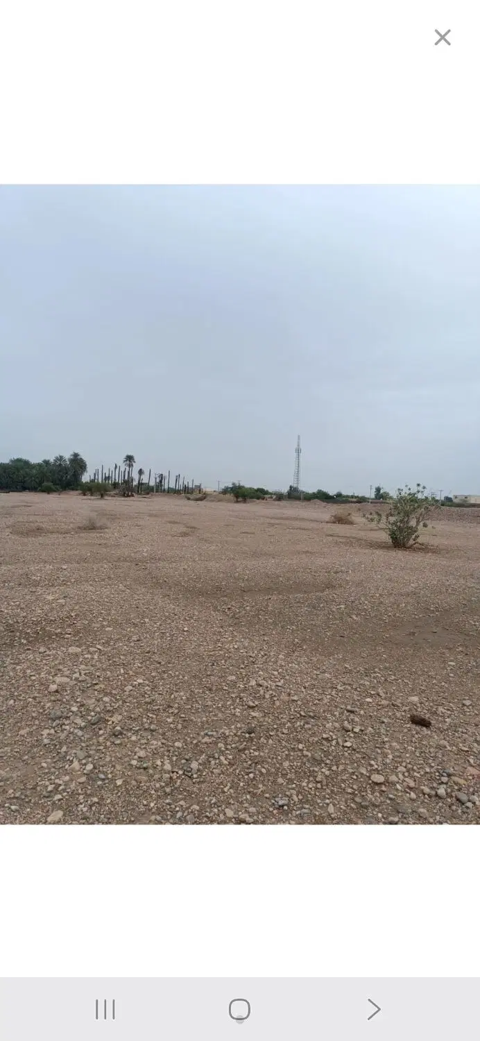 فروش زمین