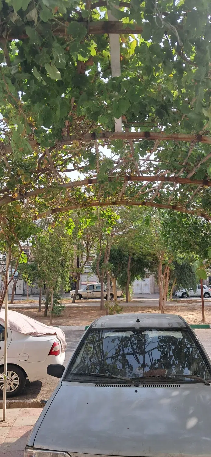 مغازه اجاره ای