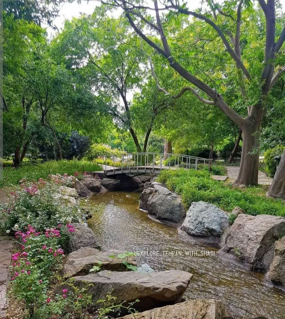 گلخانه اجاره ای ۵۵۰۰ متر مربع با تمام امکانات