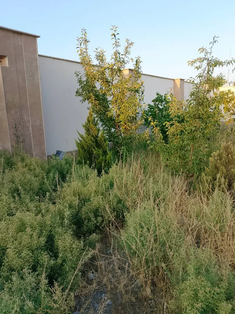 باغچه ۸۰۰ متری بنادار