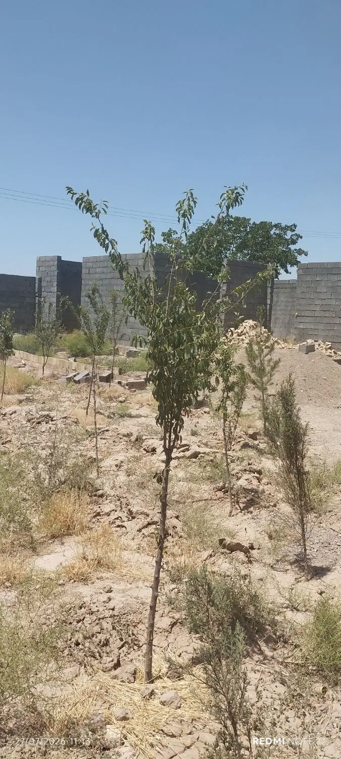 باغ ویلا و گلاب گیری