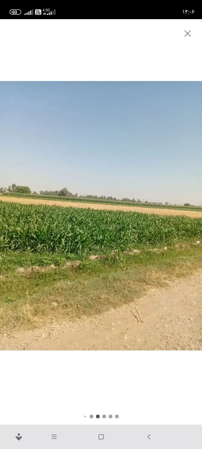 فروش زمین کشاورزی  ثبتی مرغوب