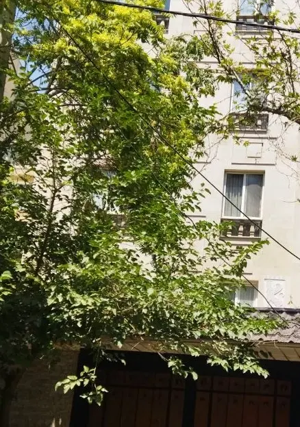 130 متری سه خوابه دیباجی جنوبی