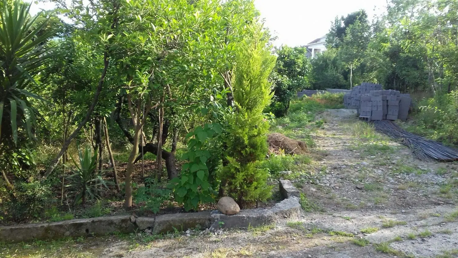 فروش زمین مسکونی
