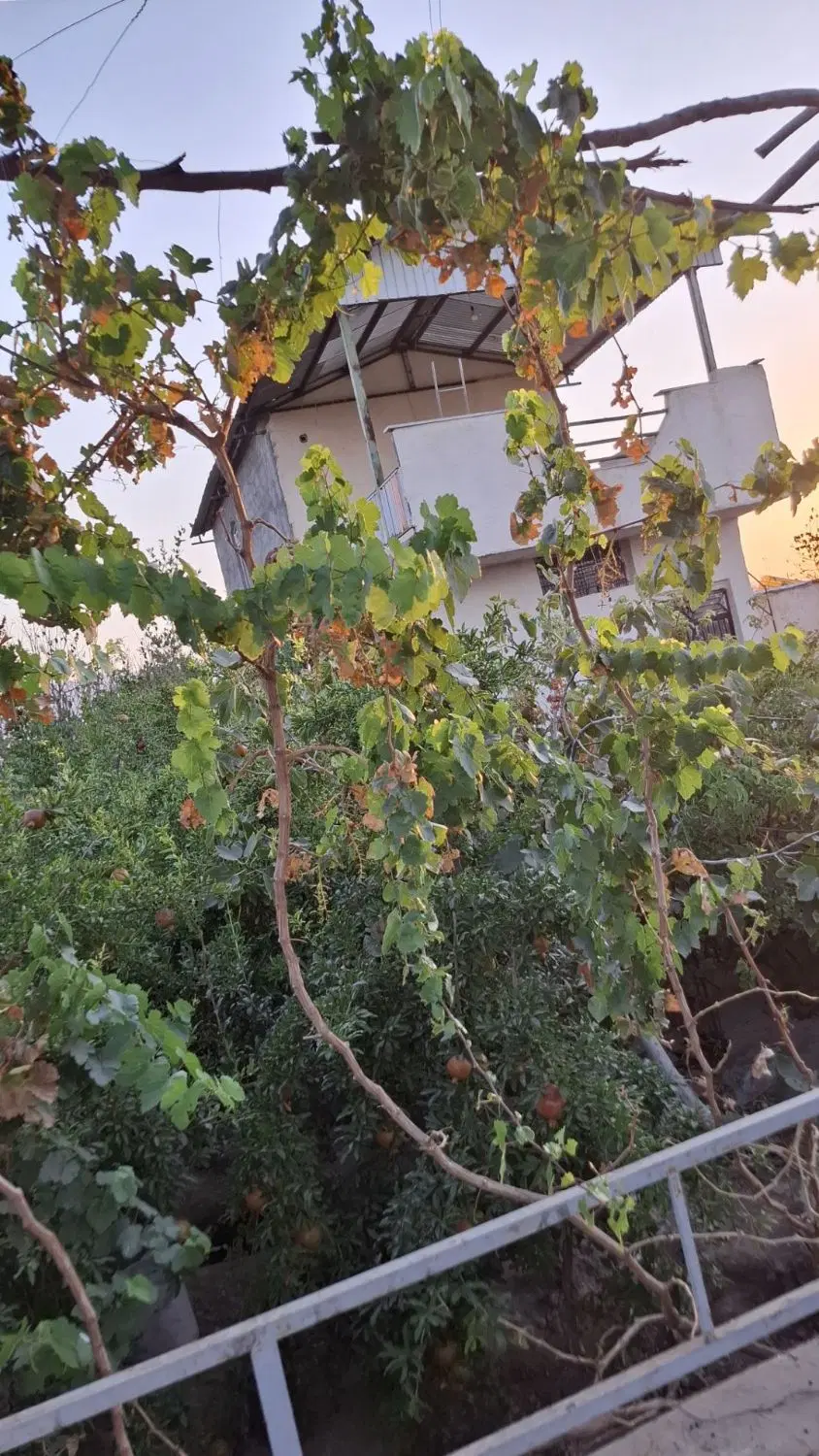 باغچه زیبا برای تفریح