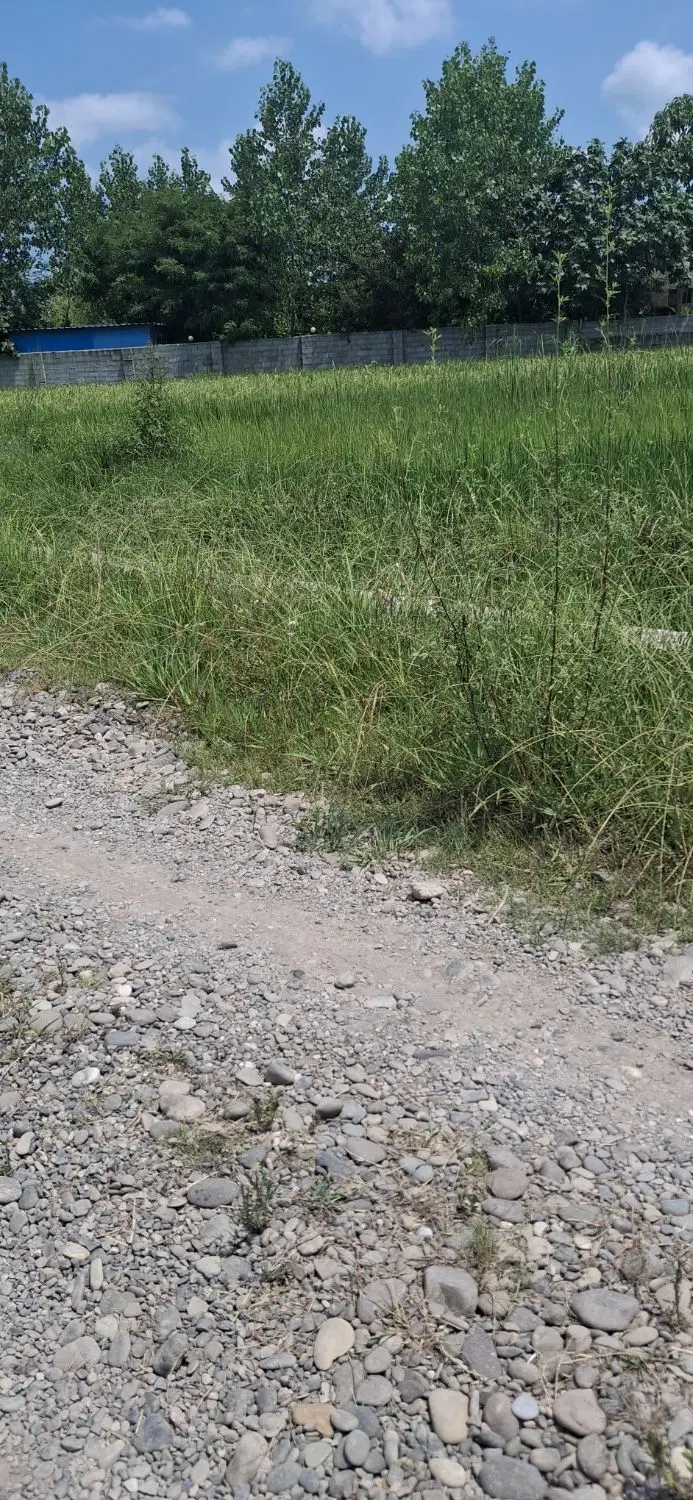 فروش فوری زمین مسکونی روستای 260متر رشت سنگر