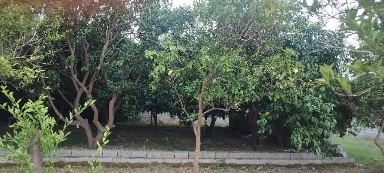 فروش زمین مسکونی