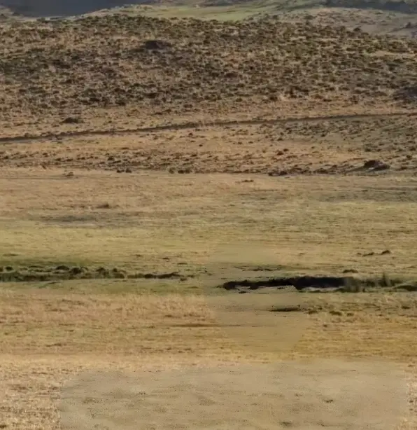 زمین مسکونی تیون