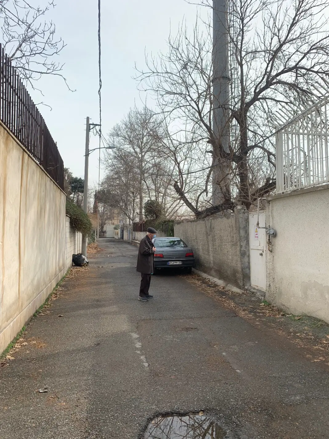 زمین باغ مسکونی سرحد آباد
