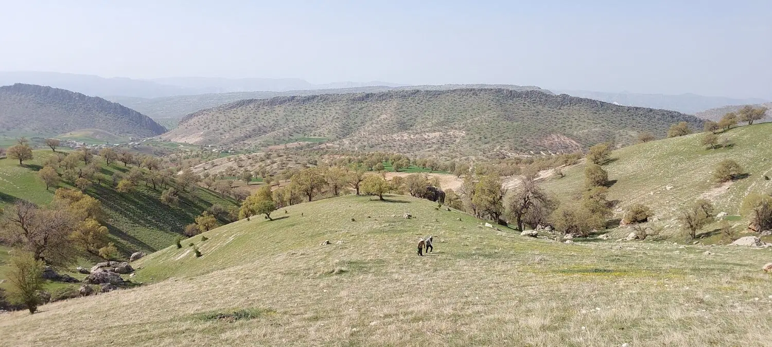 زمین مسکونی