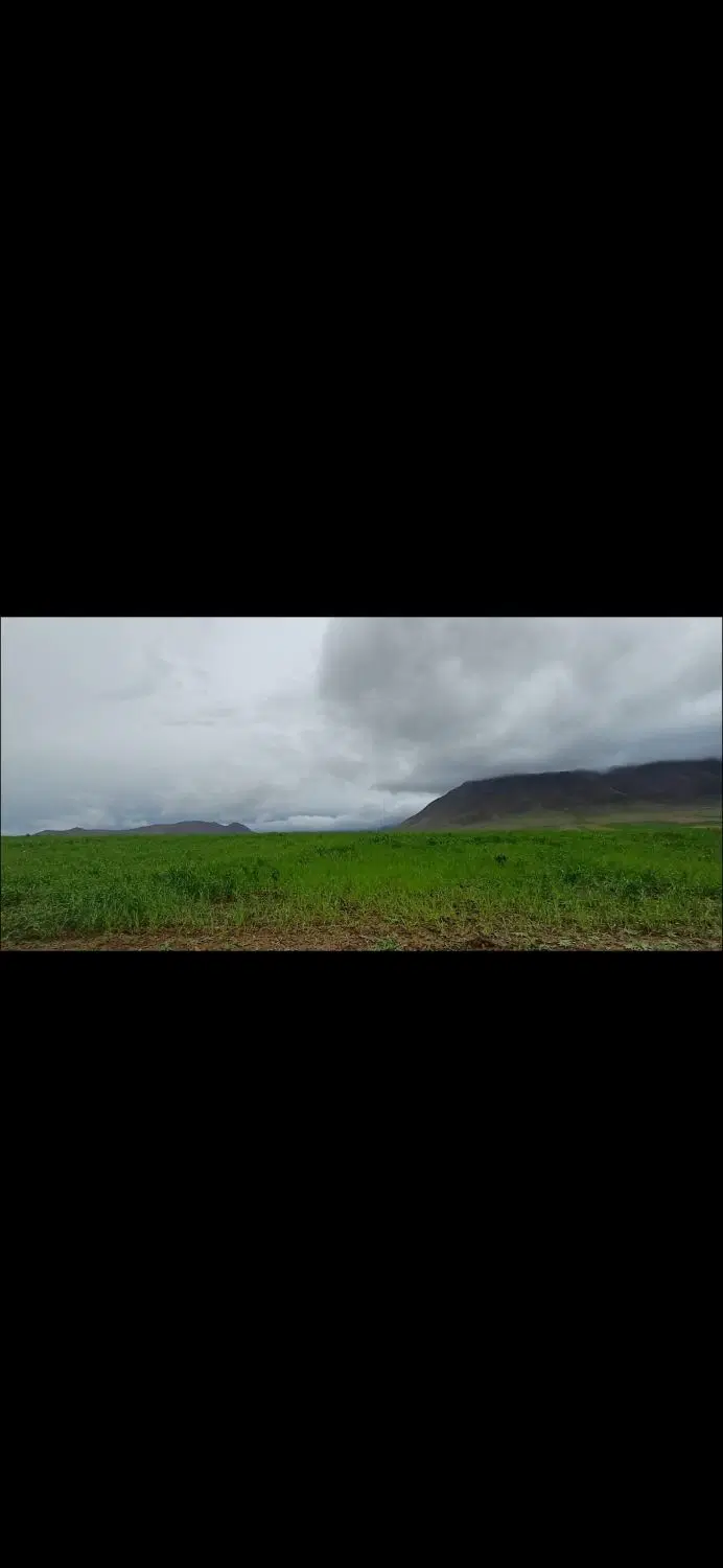 الحاق به طرح هادی در عقیل آباد