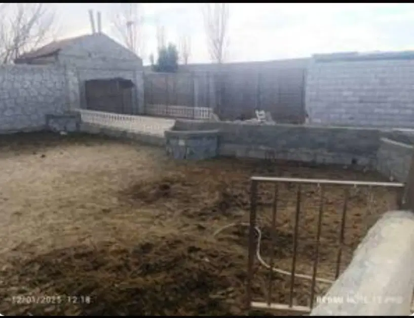 دامداری