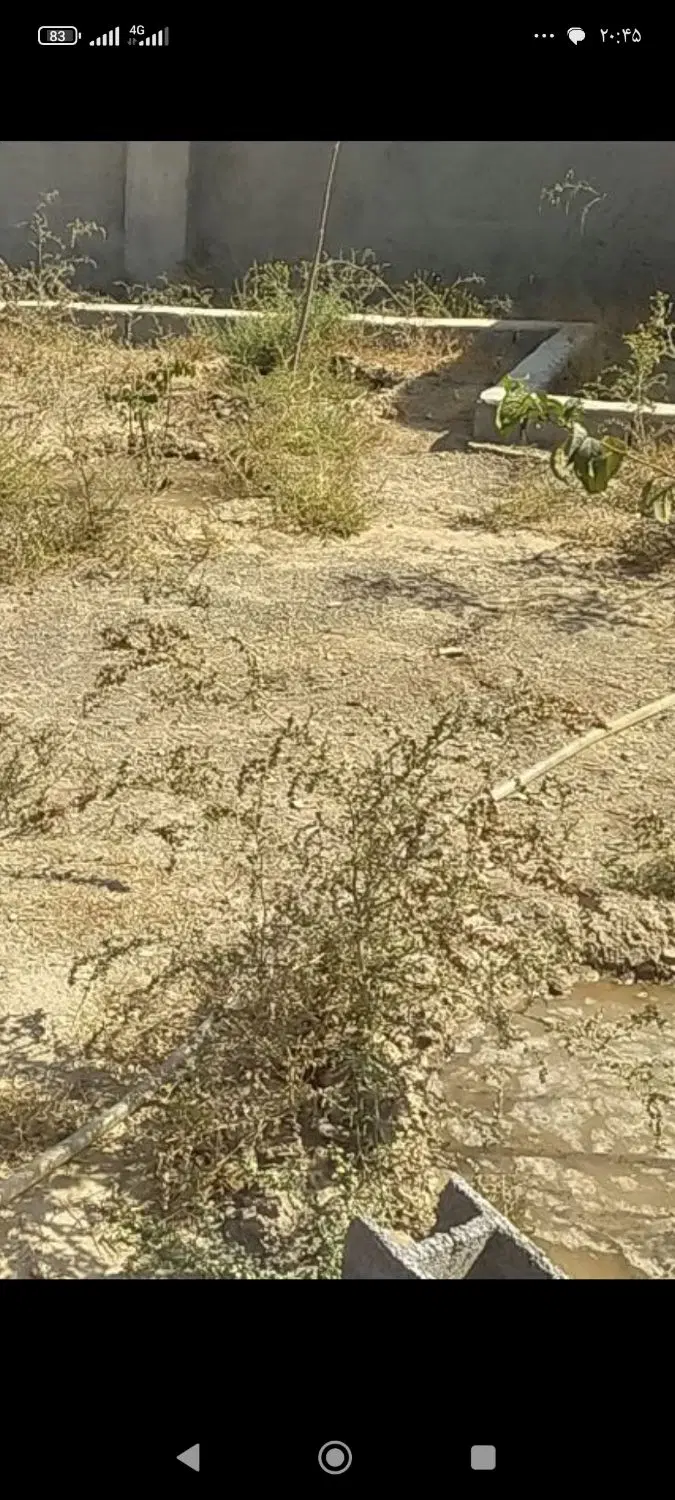 ویلادرسوران شاندیز