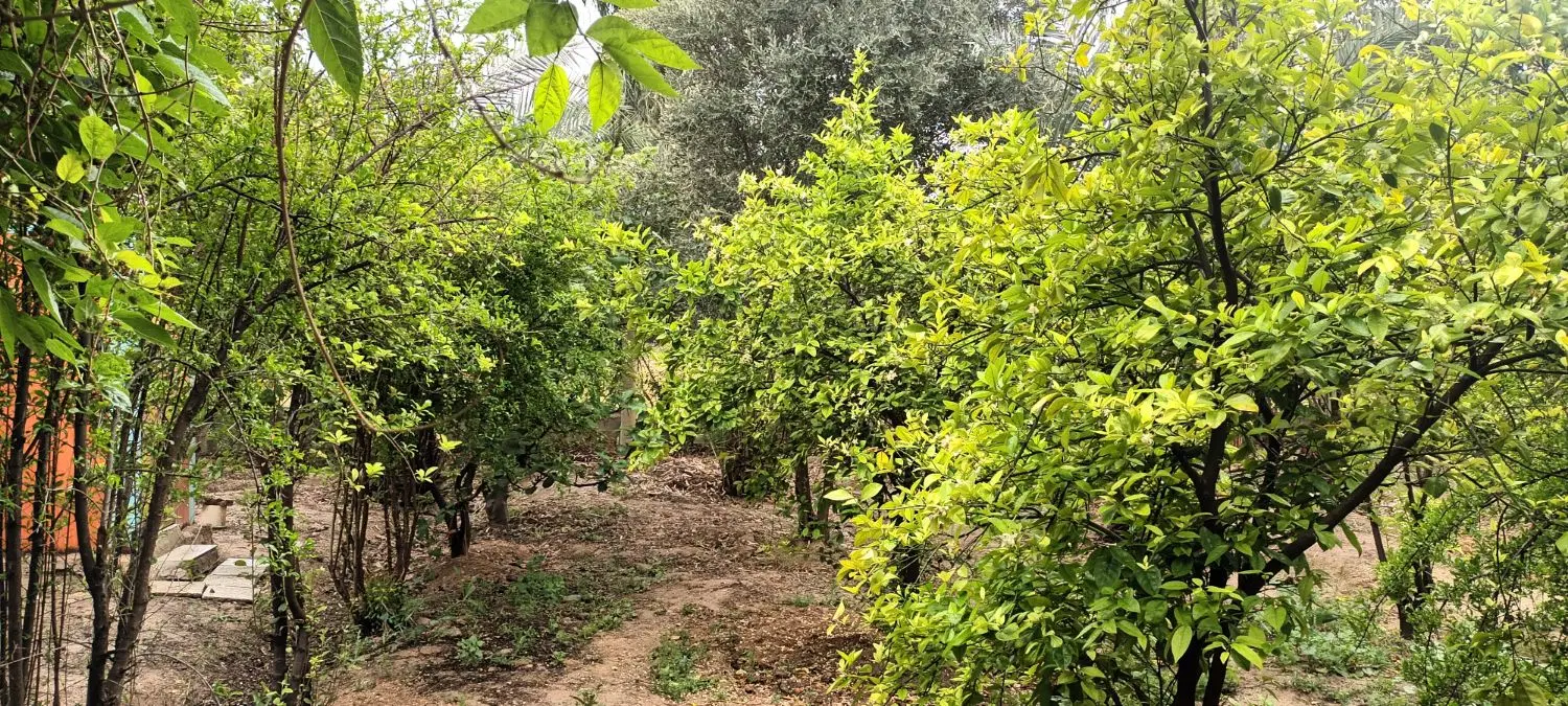 فروش ویلا۱۰۵۰متر درشوشتر باغ فردوس