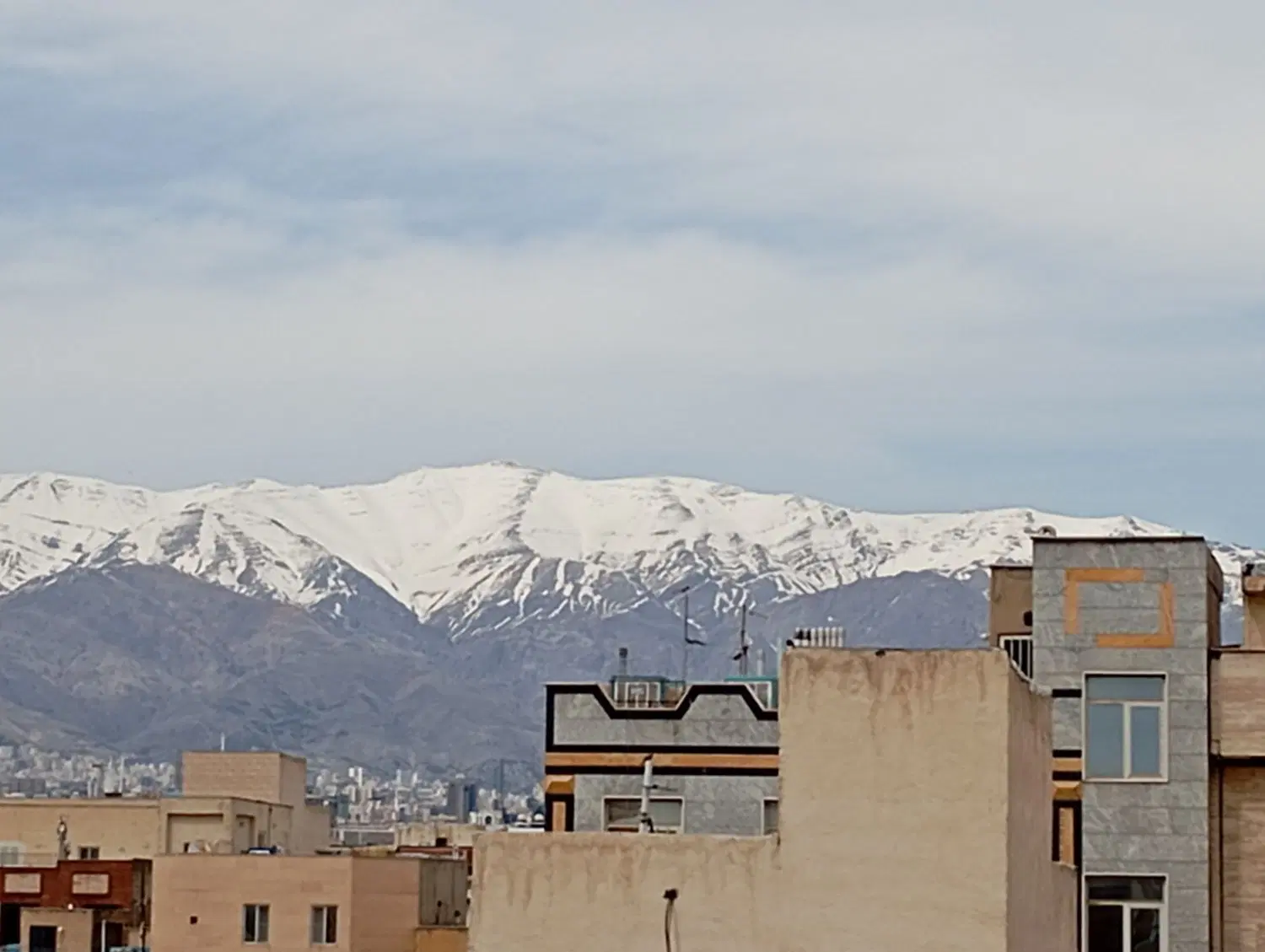 رهن
