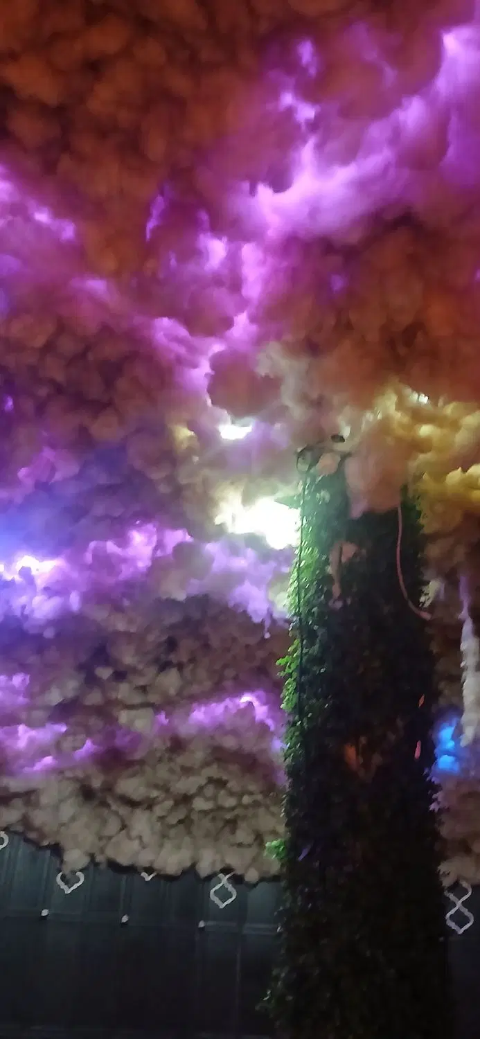 مشاور و کارشناس ملک