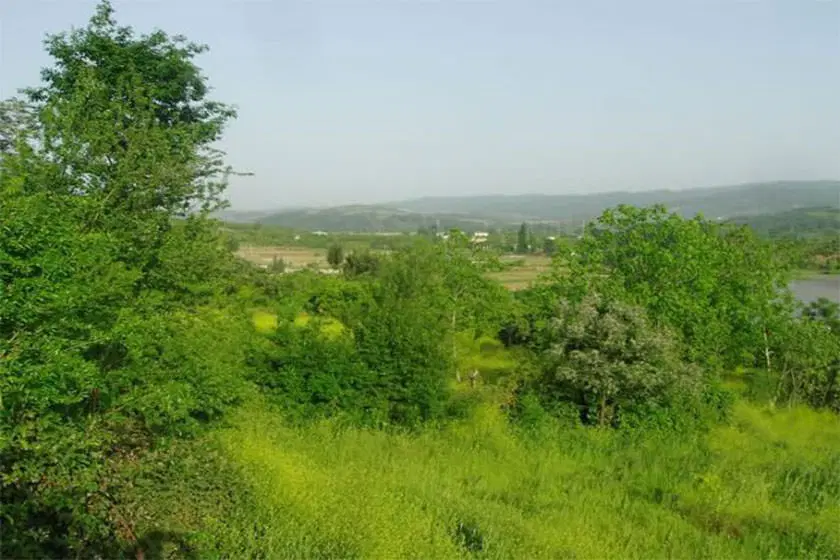 ۱۵۰۰ متر زمین ویودار
