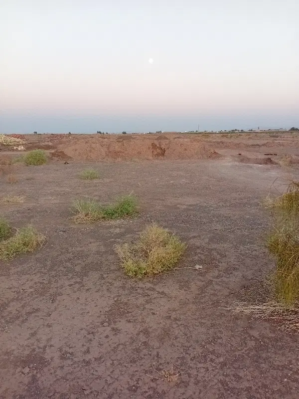 زمین واقع در حمید اباد