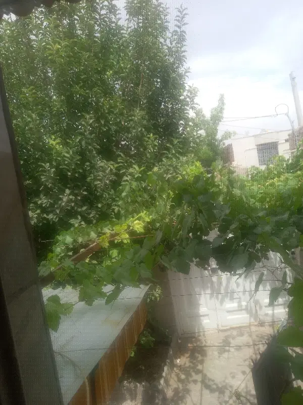 رهن‌رجایی کارگران